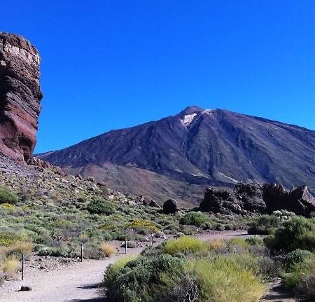 Marody Tenerife House El Médano Екстериор снимка