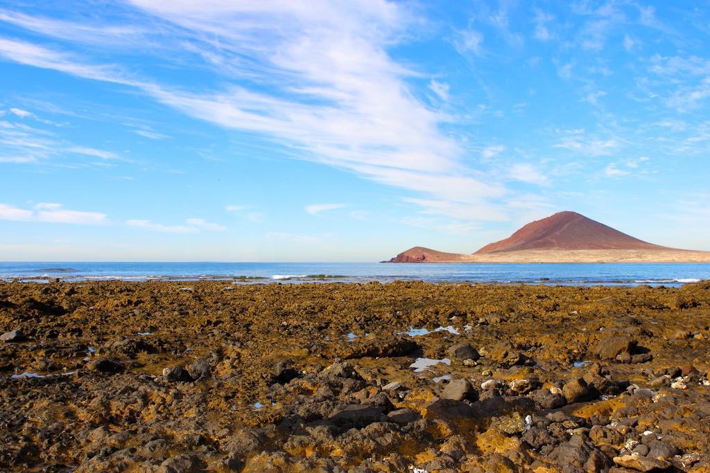 Marody Tenerife House El Médano Екстериор снимка