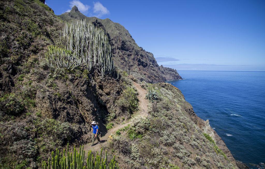 Marody Tenerife House El Médano Екстериор снимка